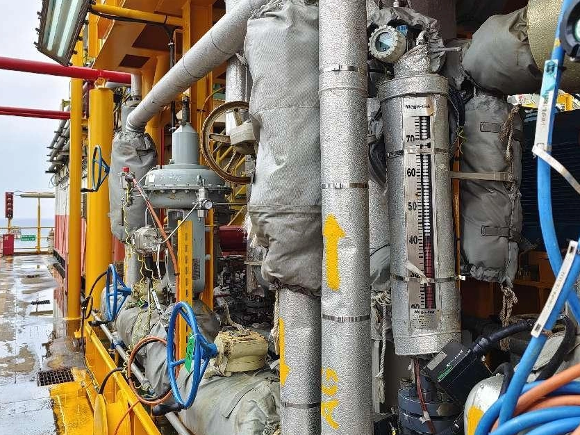 Petroleum And Petrochemicals